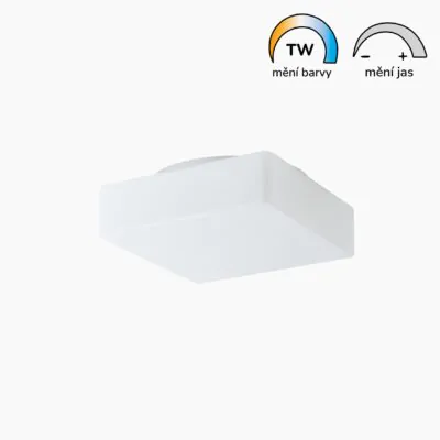 Plnospektrální LED svítidlo LORA 6 skleněné 380 mm 27W